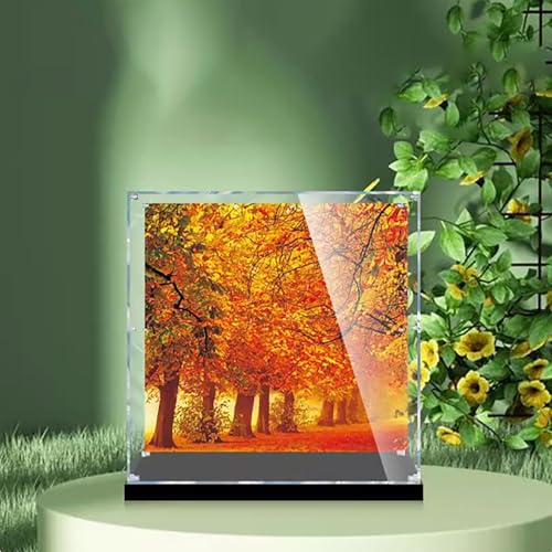 Acrylic Display Case for Lego 21318 Tree House Dustproof Box Storage Box Transparent Box Display Box Compatible with Lego 21318Only Case No Model Painted B